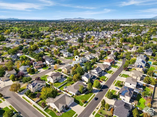 Aerial perspective of a residential neighborhood with mature trees and paved streets
