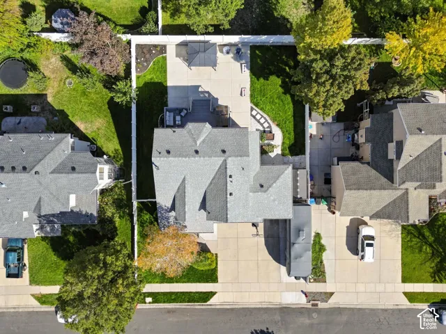 Expansive backyard featuring a concrete patio, a pergola, and mature trees