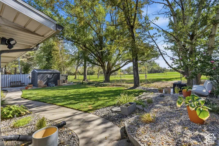 Expansive backyard featuring a concrete pathway, manicured lawn, mature trees, and a storage shed