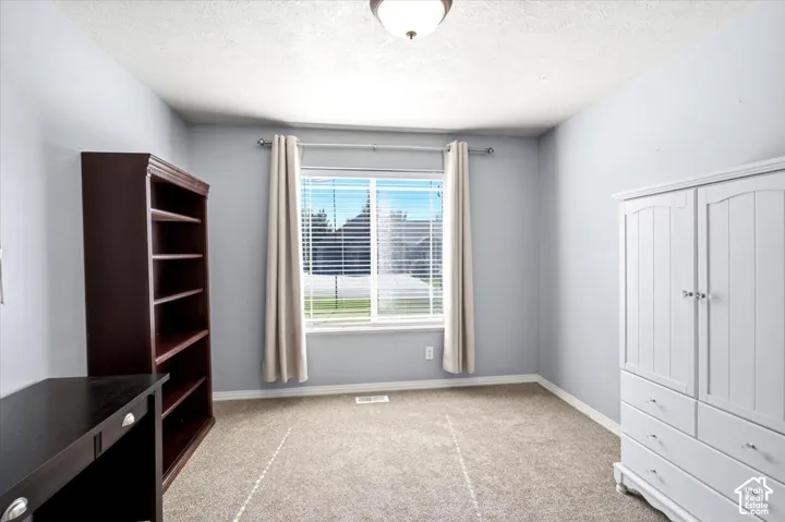 Carpeted room featuring a double window with blinds, a built-in ceiling light fixture, and light-colored walls