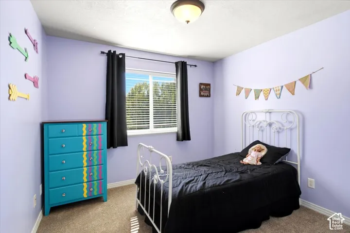 Carpeted flooring, window with blinds, ceiling-mounted light fixture, light purple wall color