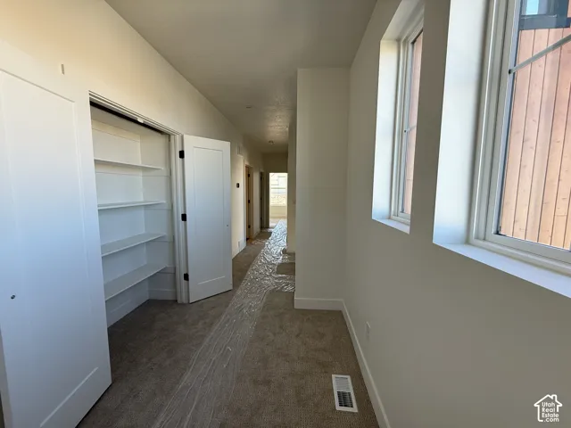 Hallway featuring two windows, built-in shelving, white paneled doors, and carpeted flooring