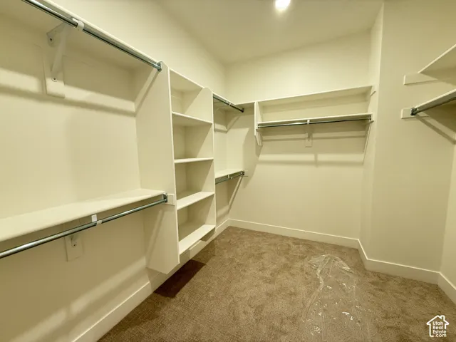 Primary Closet