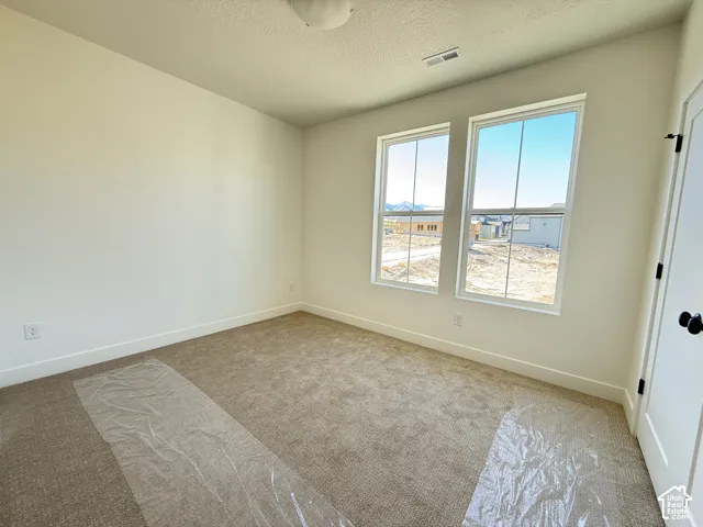 Neutral toned walls, light brown carpeting, dual windows, and a flush mount ceiling light