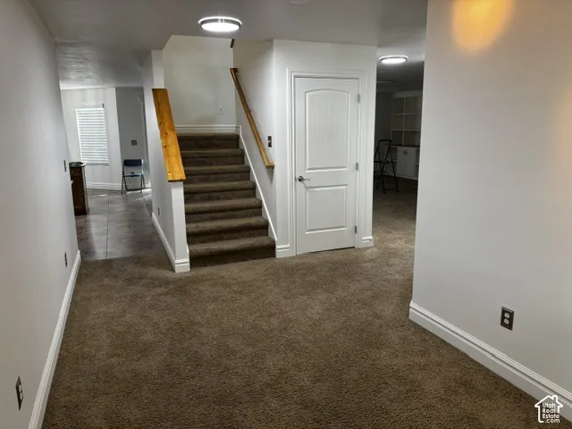 Carpeted staircase with wooden handrails, white interior doors, and built-in shelving