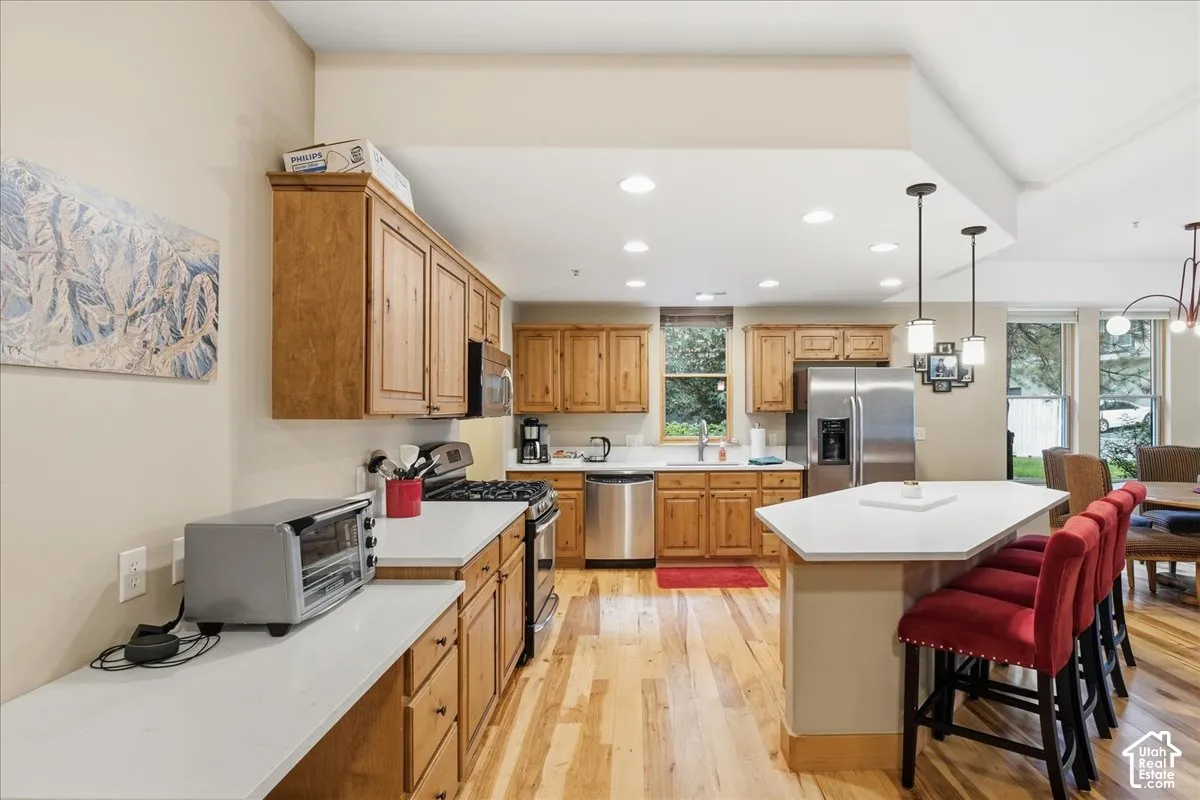 Kitchen featuring wood-finish flooring, recessed lighting, and stainless steel appliances