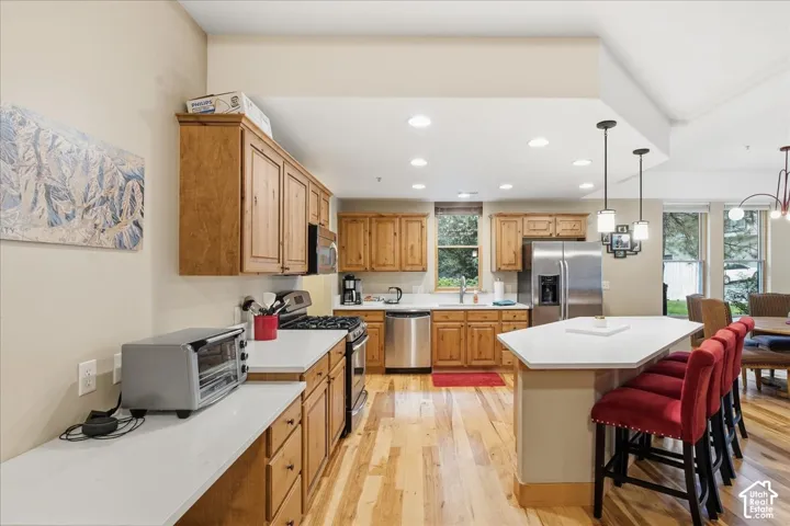 Kitchen featuring wood-finish flooring, recessed lighting, and stainless steel appliances