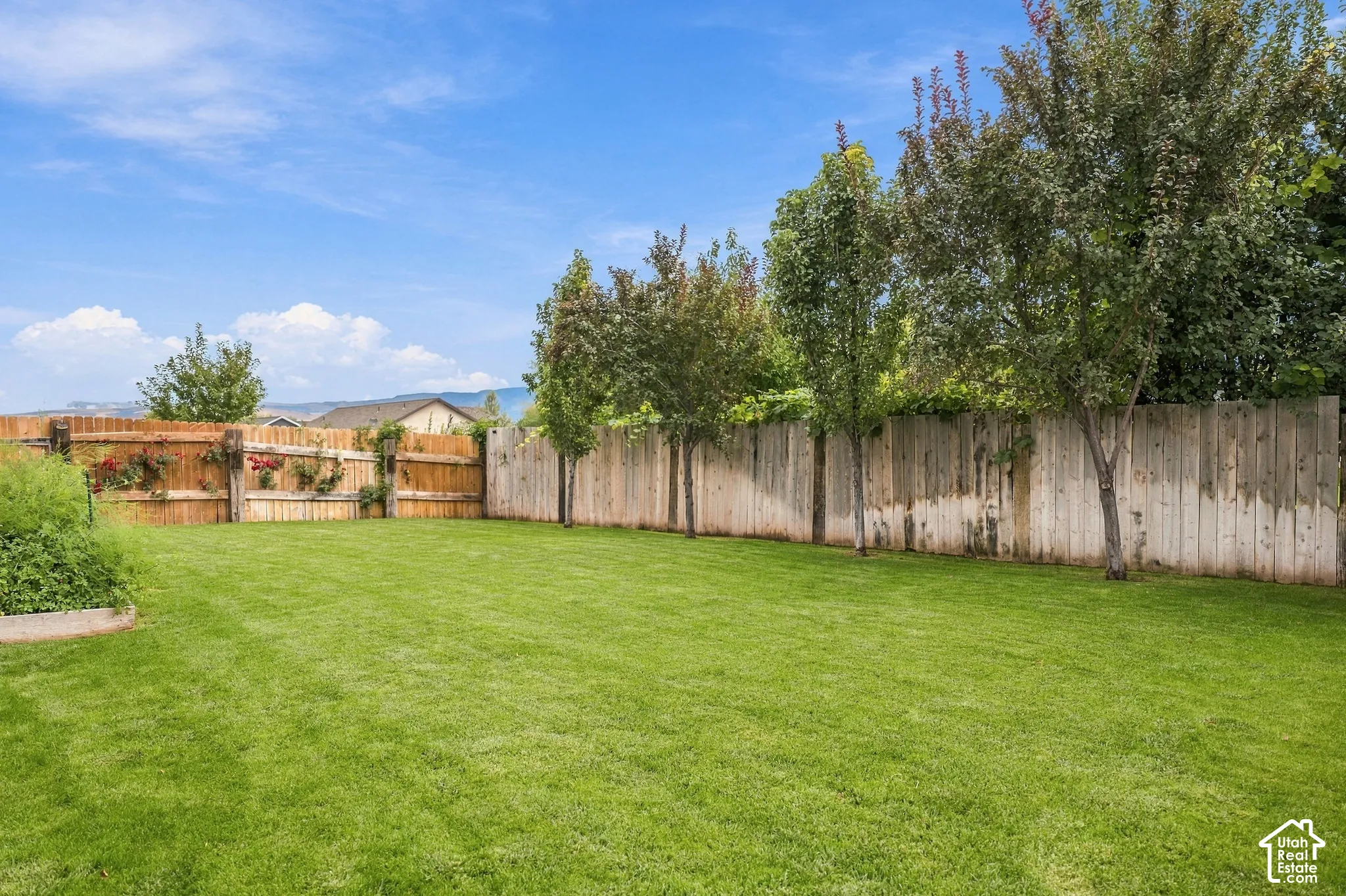 Expansive backyard featuring a manicured lawn, established trees, and a wooden privacy fence