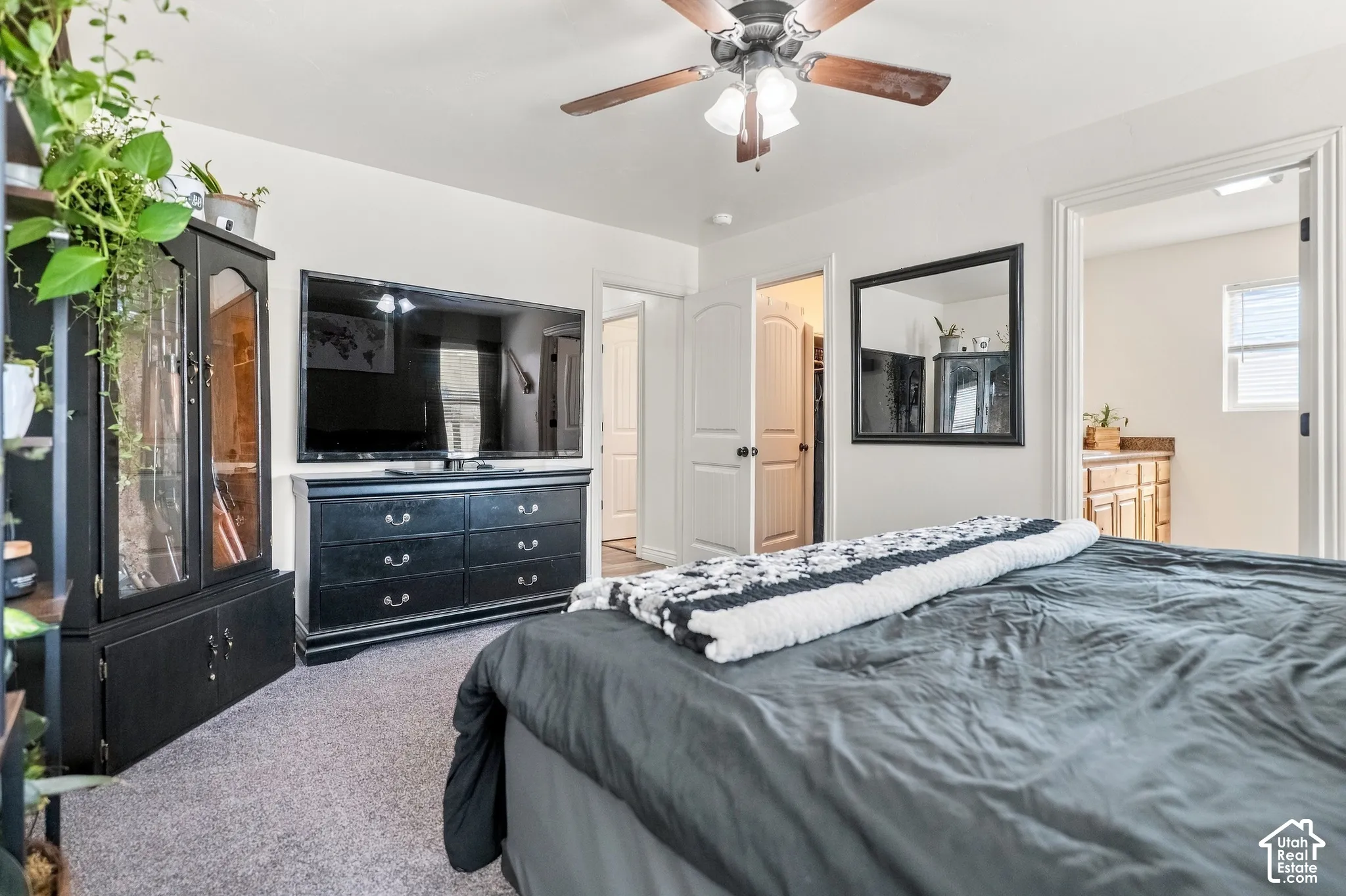 Carpet flooring, ceiling fan with light fixture, and white painted walls