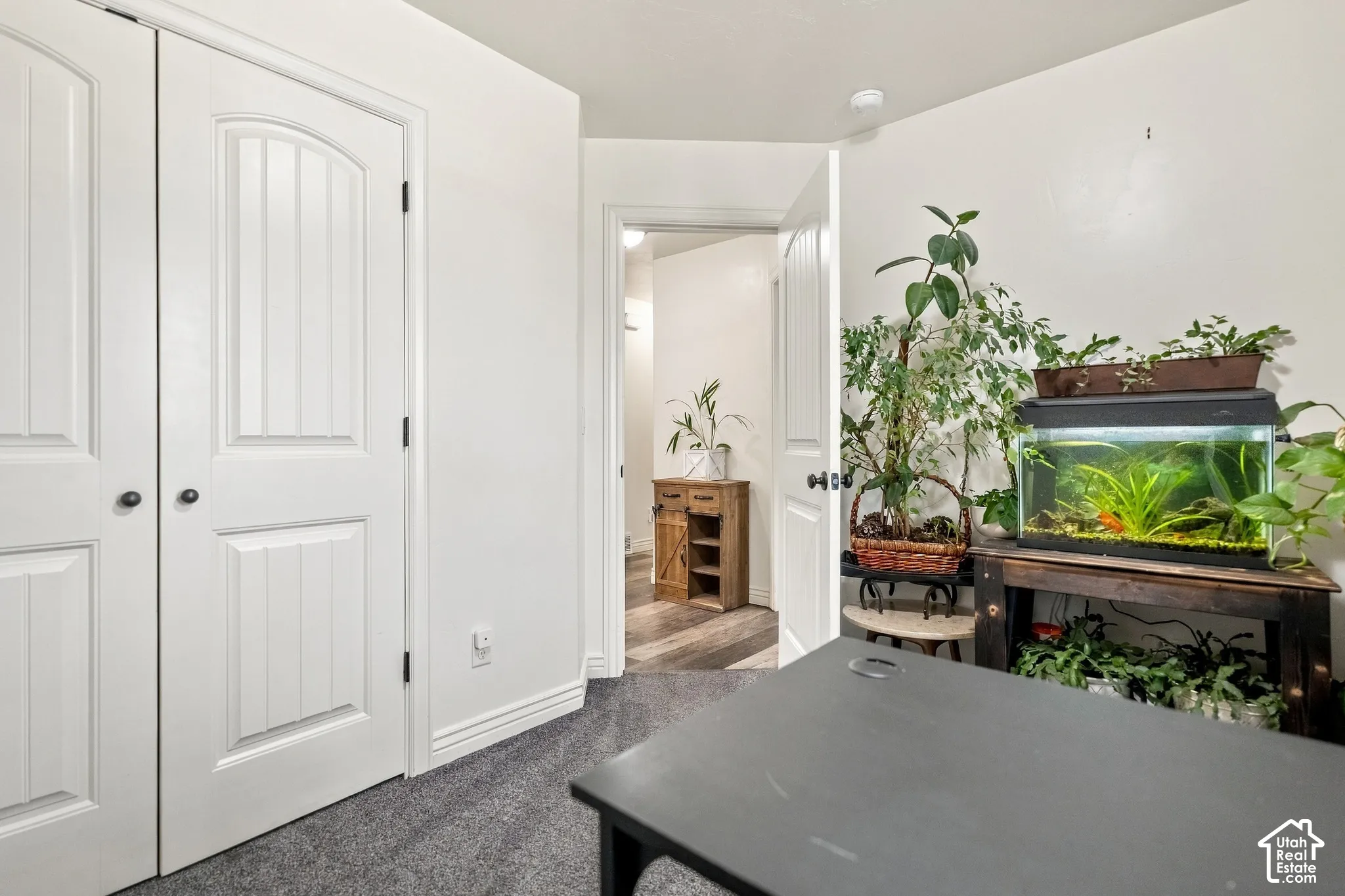 White paneled doors with black hardware, white walls, and gray carpeted flooring