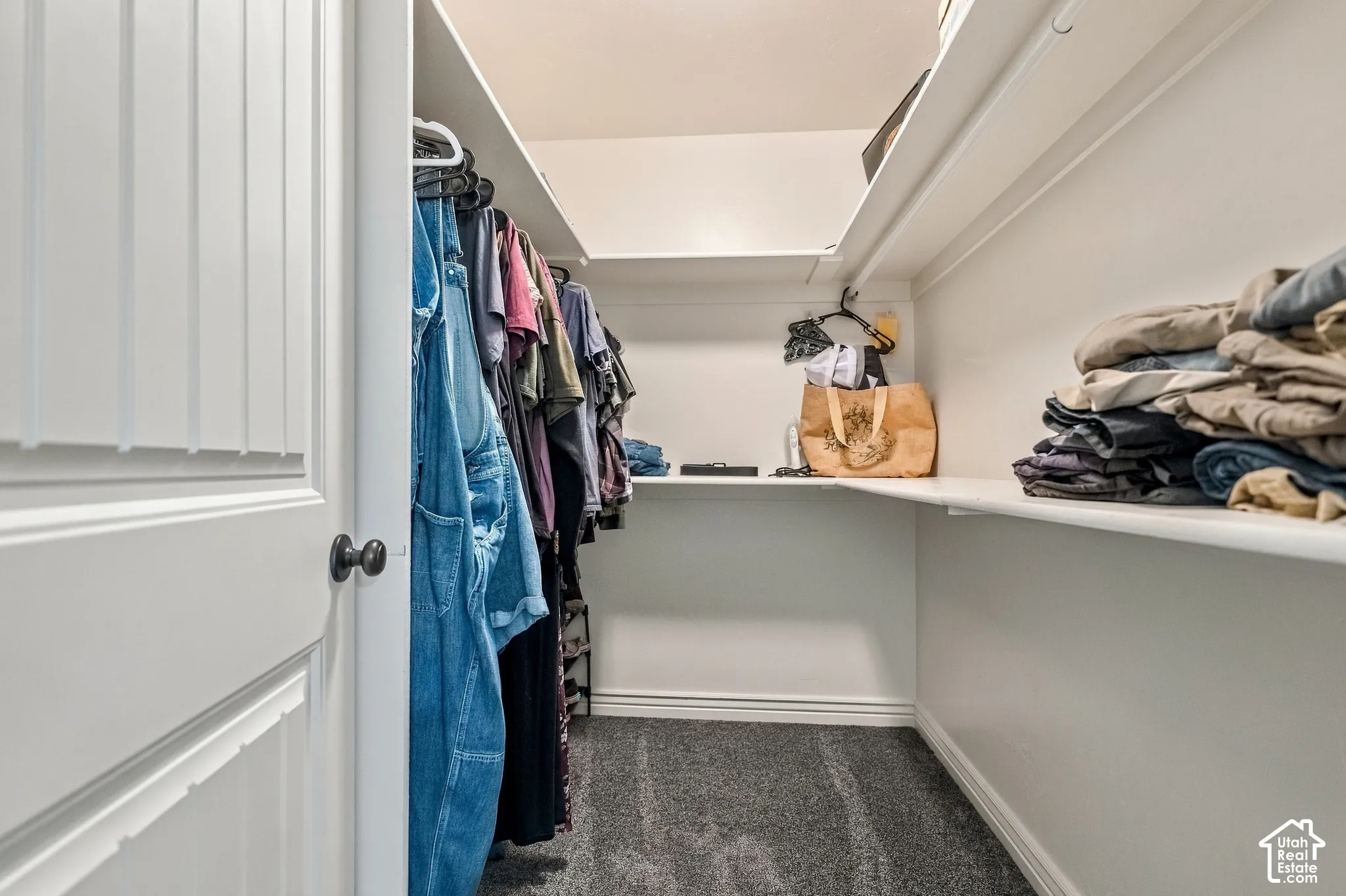 Walk-in closet with white shelving, hanging rods, and gray carpeting