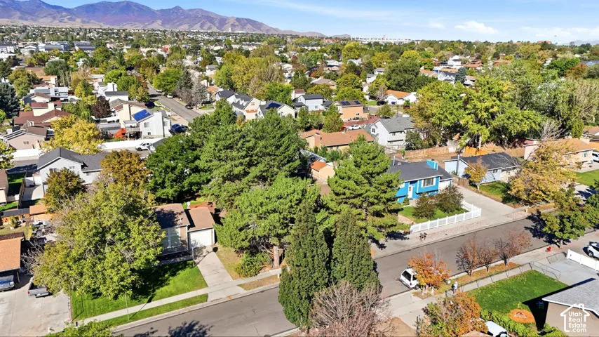 Residential neighborhood with mature trees and mountain backdrop