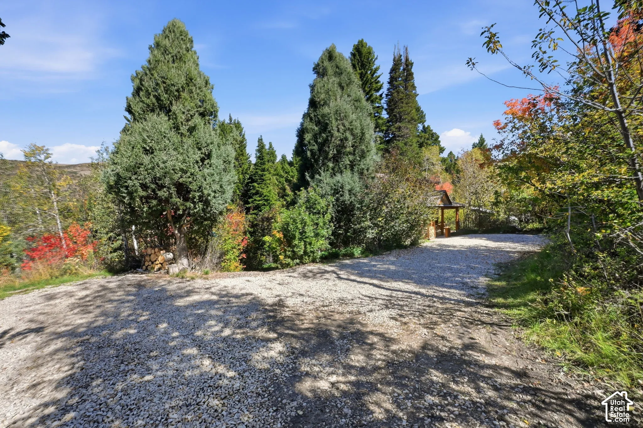 Gravel driveway surrounded by mature trees, deciduous foliage, and a distant wooden structure