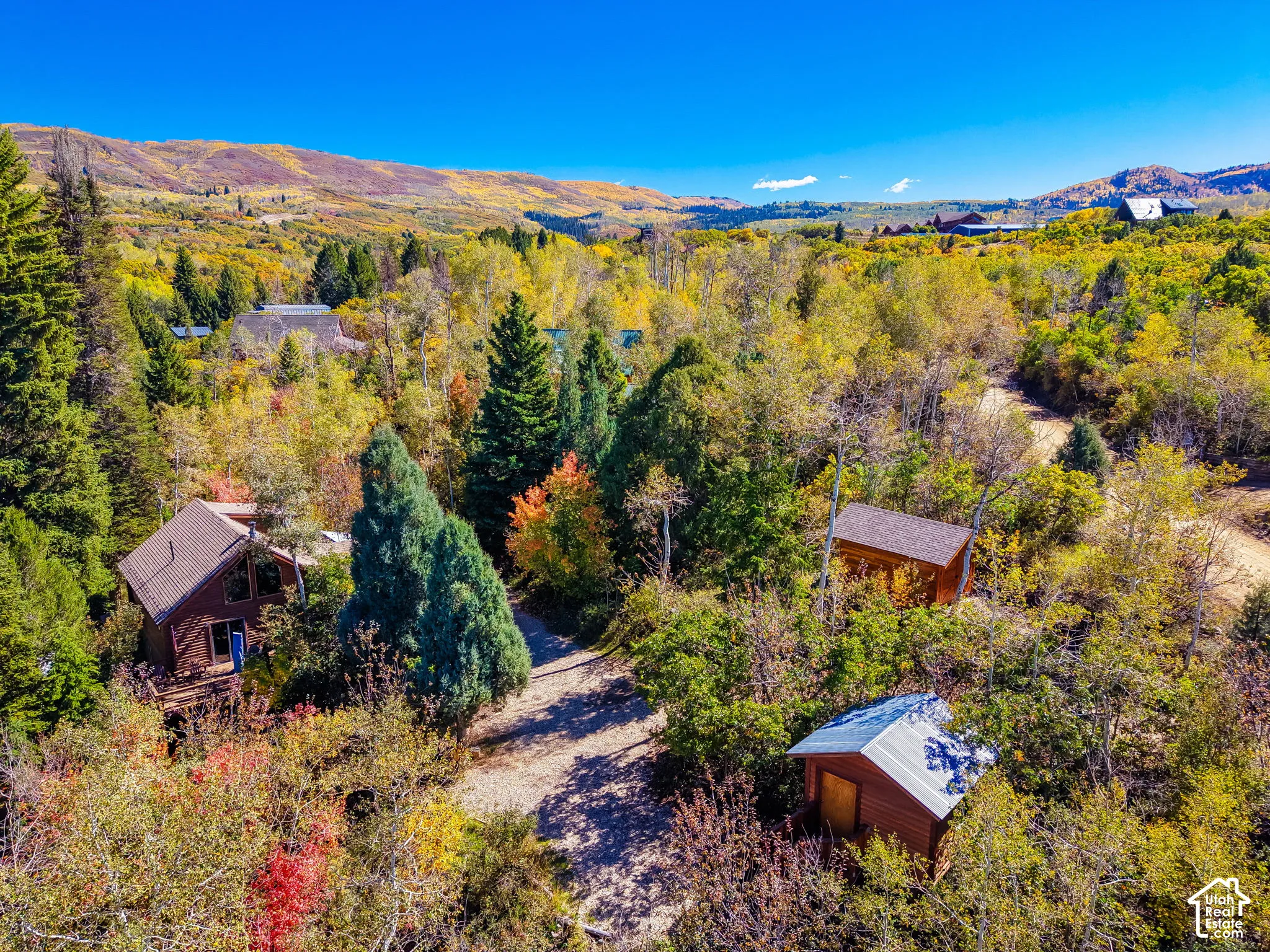 Wood-sided structures with sloped roofs amidst abundant foliage