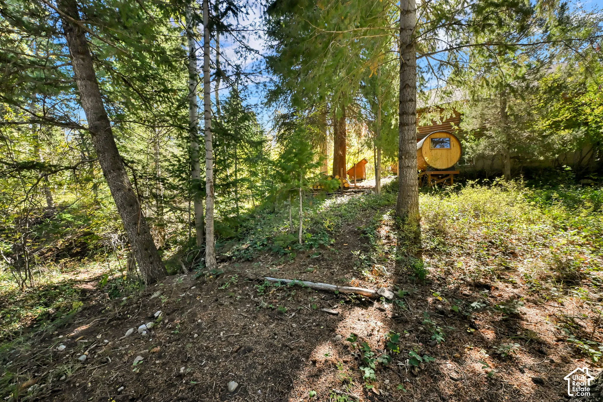 Wooded lot featuring mature trees and a sloped terrain