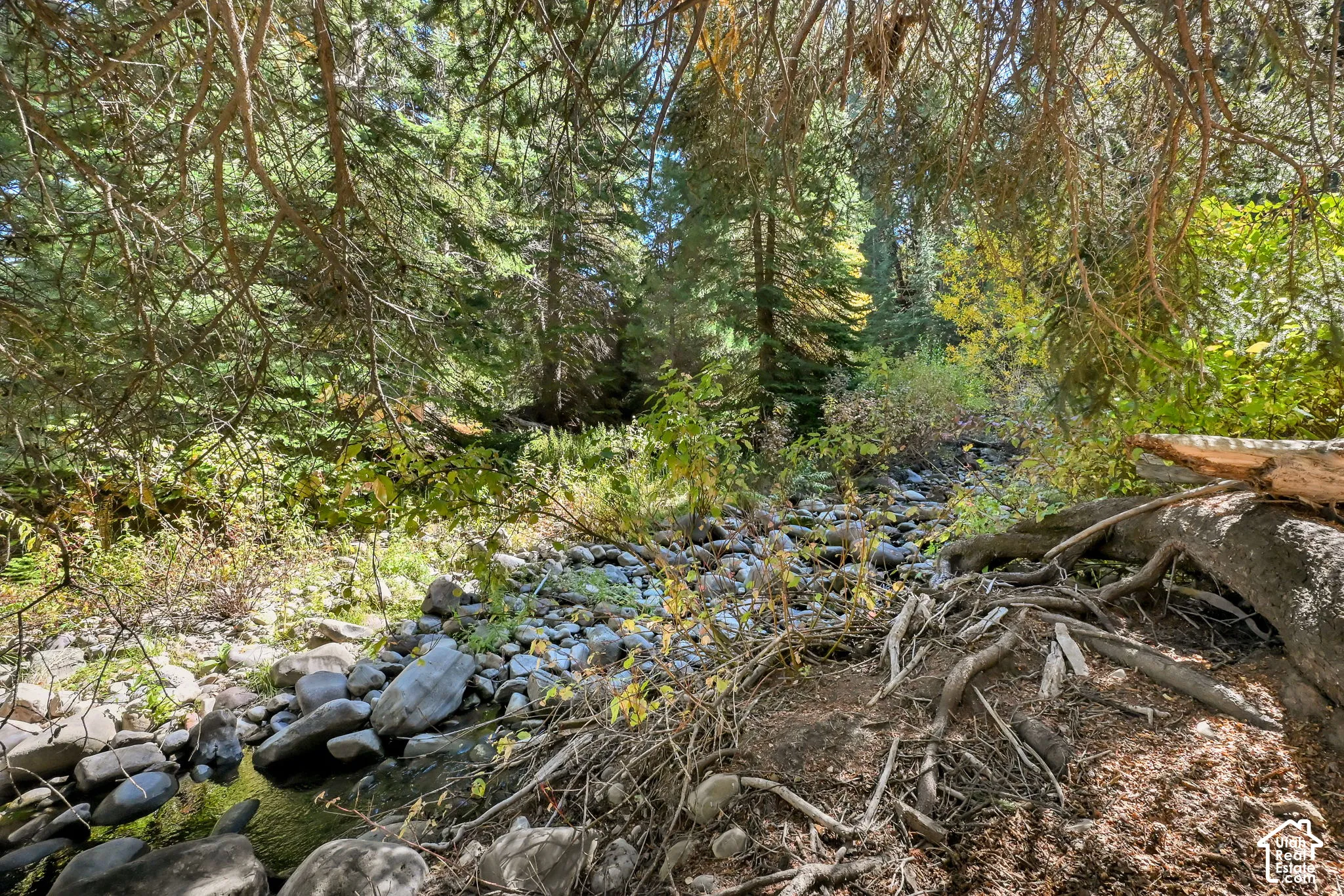 Natural landscaping featuring mature trees and a rocky stream bed