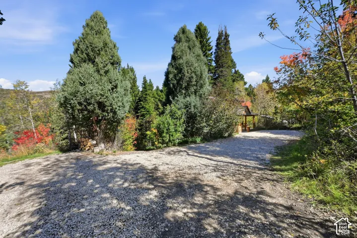 Gravel driveway surrounded by mature trees, deciduous foliage, and a distant wooden structure