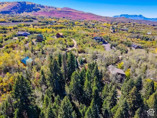 Expansive natural landscape with varied terrain and mature trees