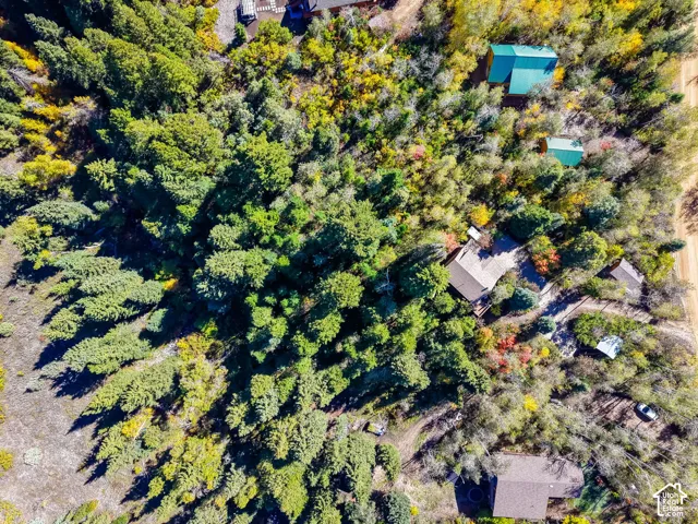 Wooded property offering multiple structures and varied tree species