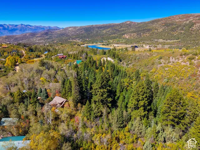 Mountainous terrain with lush evergreen and deciduous trees