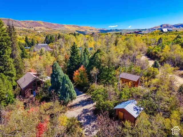Wood-sided structures with sloped roofs amidst abundant foliage