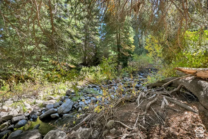 Natural landscaping featuring mature trees and a rocky stream bed