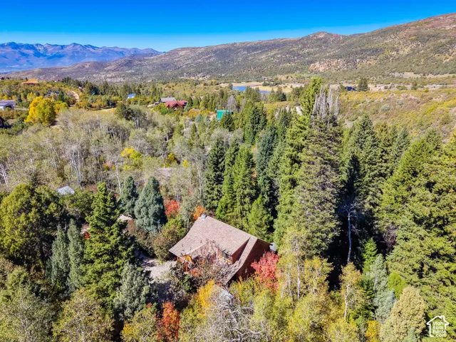 Wooded lot with mature trees, natural landscaping, and a mountain backdrop