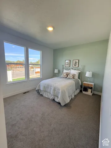 Carpeted flooring with a neutral color palette