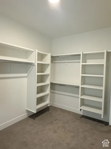 Built-in closet system with shelving, hanging rods, recessed lighting, and carpet flooring