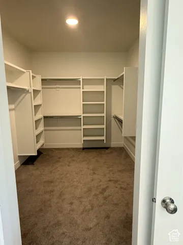 Walk-in closet featuring built-in shelving, hanging rods, and carpet flooring