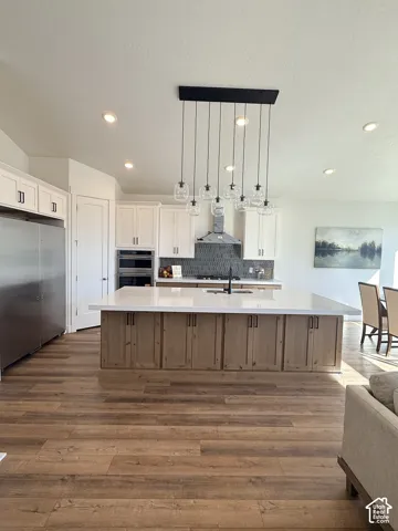 Gourmet kitchen with wood-finish flooring, white cabinetry, a large kitchen island with white countertop, and a contemporary multi-light pendant fixture