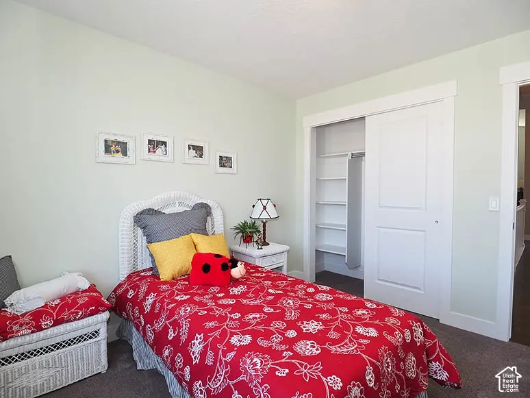 Recessed sliding closet doors with built-in shelving, light-colored walls, and carpeting