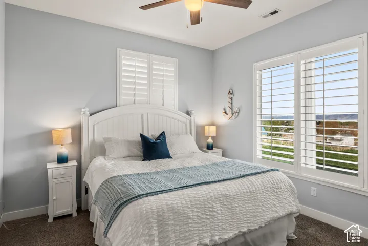 Dual windows with white plantation shutters, neutral wall color, ceiling fan with integrated lighting, and carpeted flooring