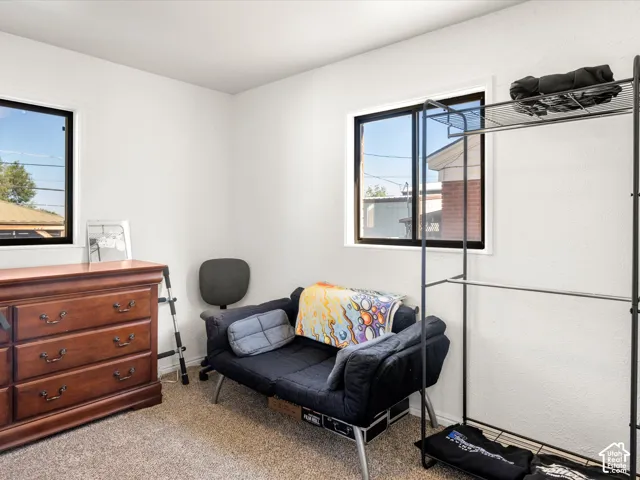 Carpeted flooring with white wall finishes