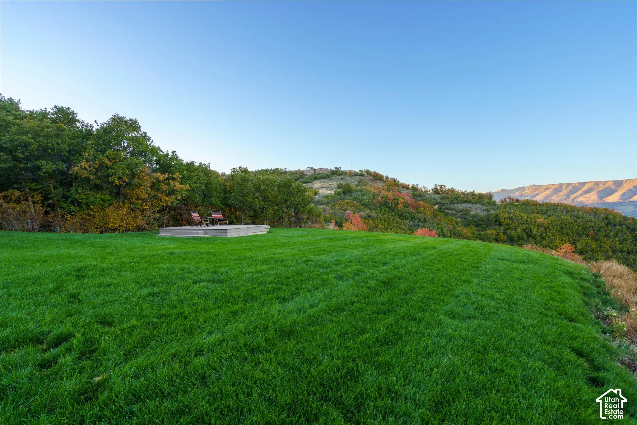 Expansive lawn with a raised concrete patio and mature trees