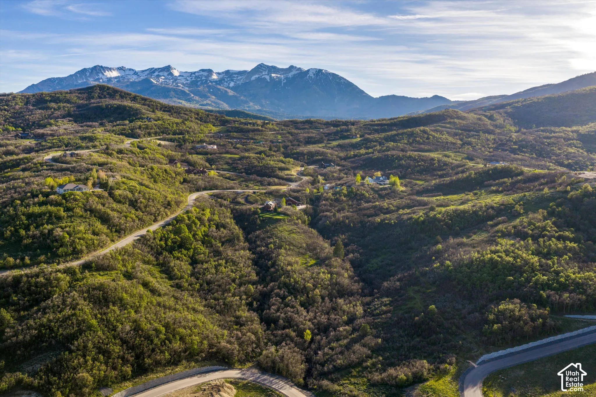 Mountainous landscape featuring extensive natural foliage, winding paved roadways, and distant snow-capped peaks