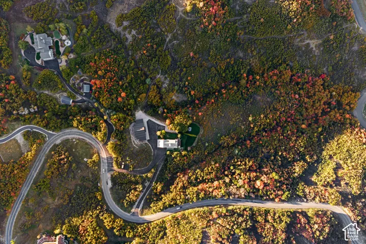 Winding paved roadways through a heavily wooded terrain with homes nestled into the landscape