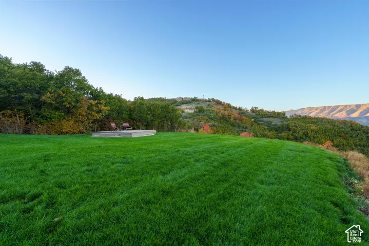 Expansive lawn with a raised concrete patio and mature trees