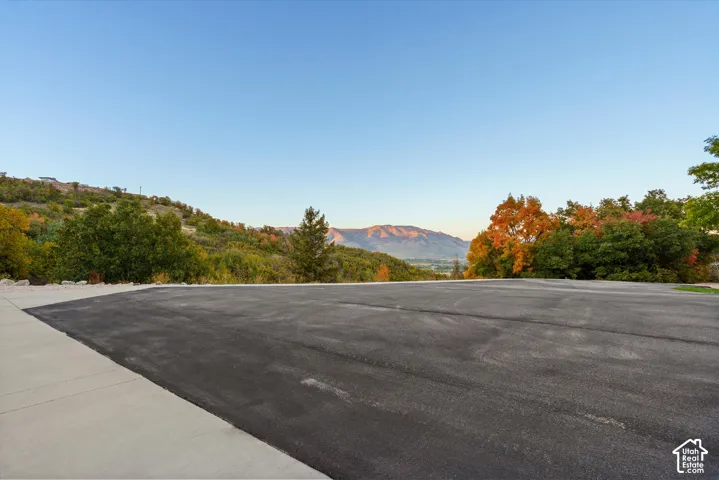Paved driveway with concrete border