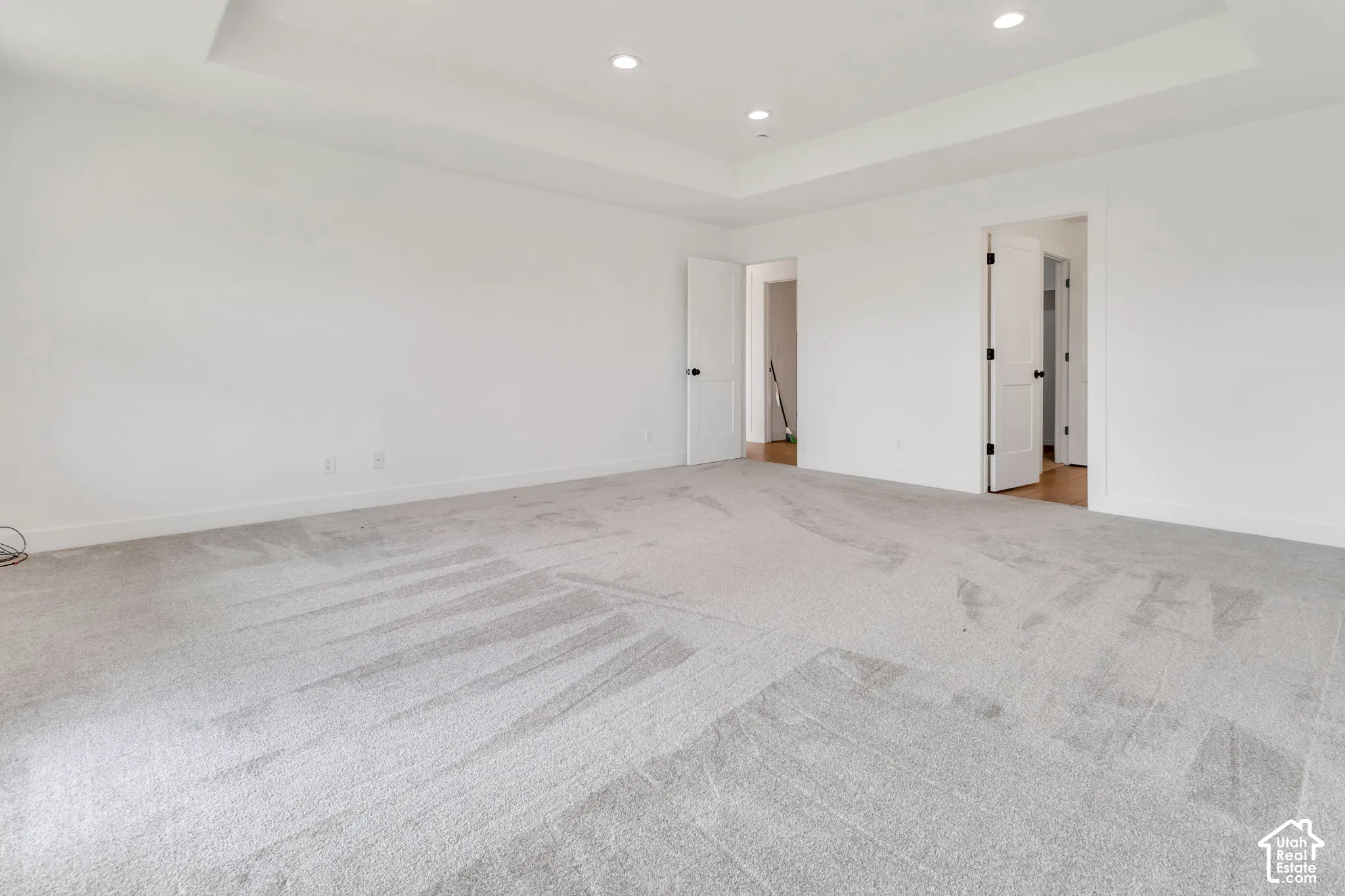 Recessed lighting, tray ceiling, light-colored carpeting, white interior doors, and black door hardware