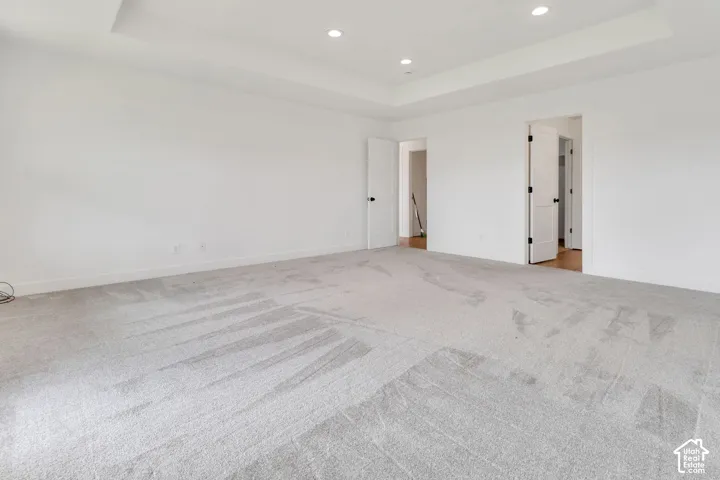 Recessed lighting, tray ceiling, light-colored carpeting, white interior doors, and black door hardware