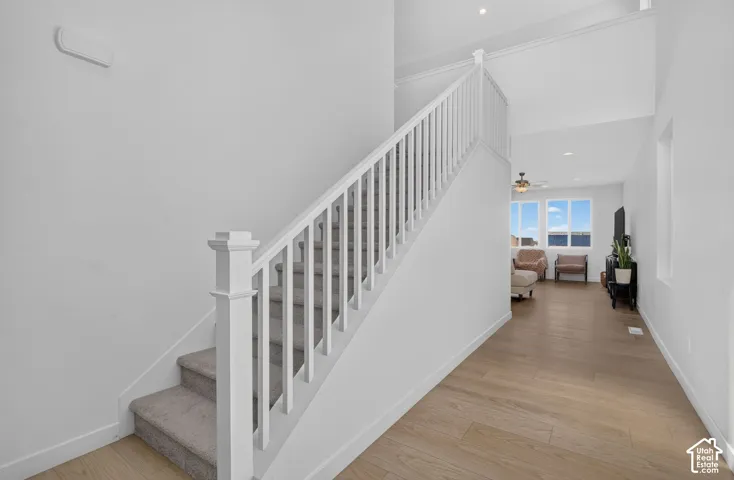 Carpeted staircase with white railings, wood-finish flooring, and high ceilings upon entering