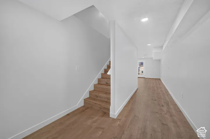 Stairs and hallway leading to the basement