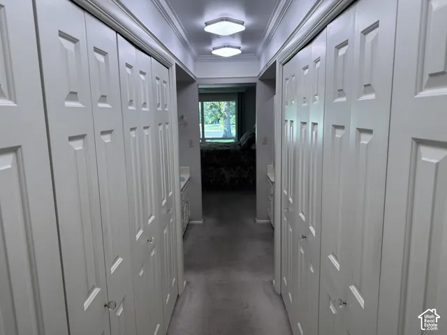 Hallway featuring extensive bi-fold closet storage, crown molding, flush-mount lighting, and carpet flooring