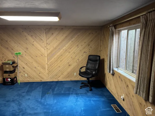Wood paneling with a diagonal pattern, carpeted flooring, and a single window with curtains