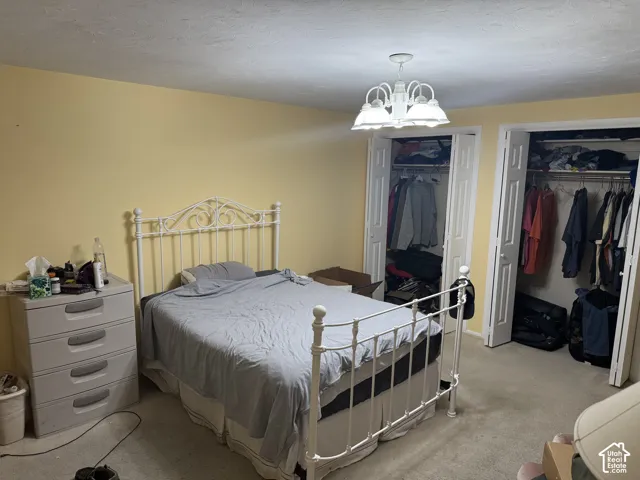 Neutral wall color, ceiling-mounted light fixture, and two double-door closets