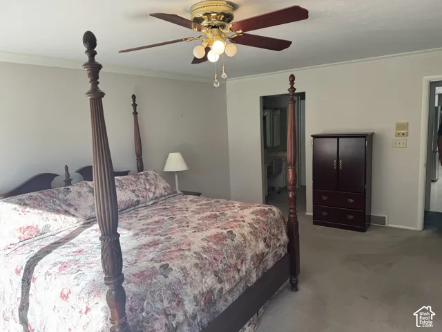 Carpeted room with crown molding and ceiling fan