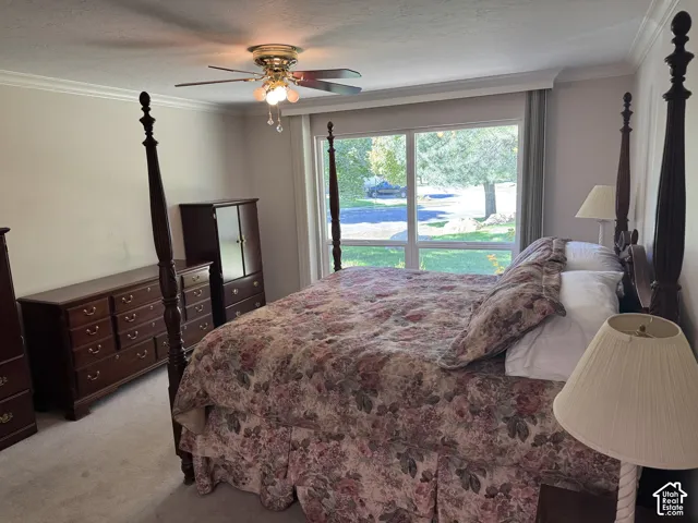 Spacious room with crown molding, ceiling fan with light fixture, and large windows providing abundant natural light