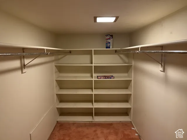 Built-in shelving, two hanging rods, and an overhead light fixture