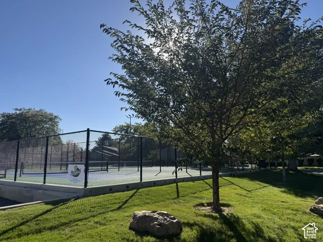 Pickleball court with chain-link fencing